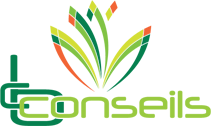 LCO Conseil